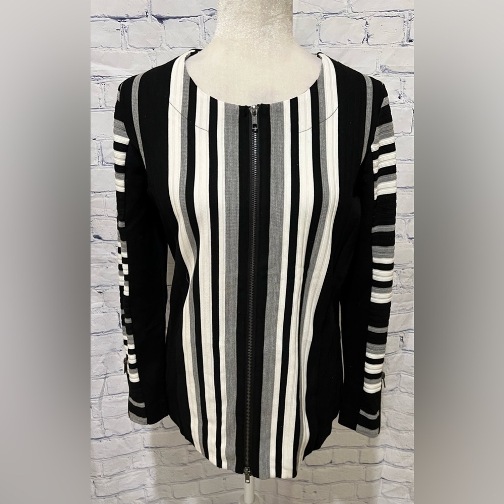 Lynn Ritchie Silver Gorgeous Tunic Jacket Full Zipper Color Block Size Medium